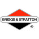 Двигатели Briggs-Stratton в Вологде